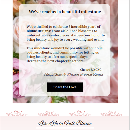 email marketing services email advertising charleston sc